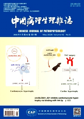 中国病理生理封面